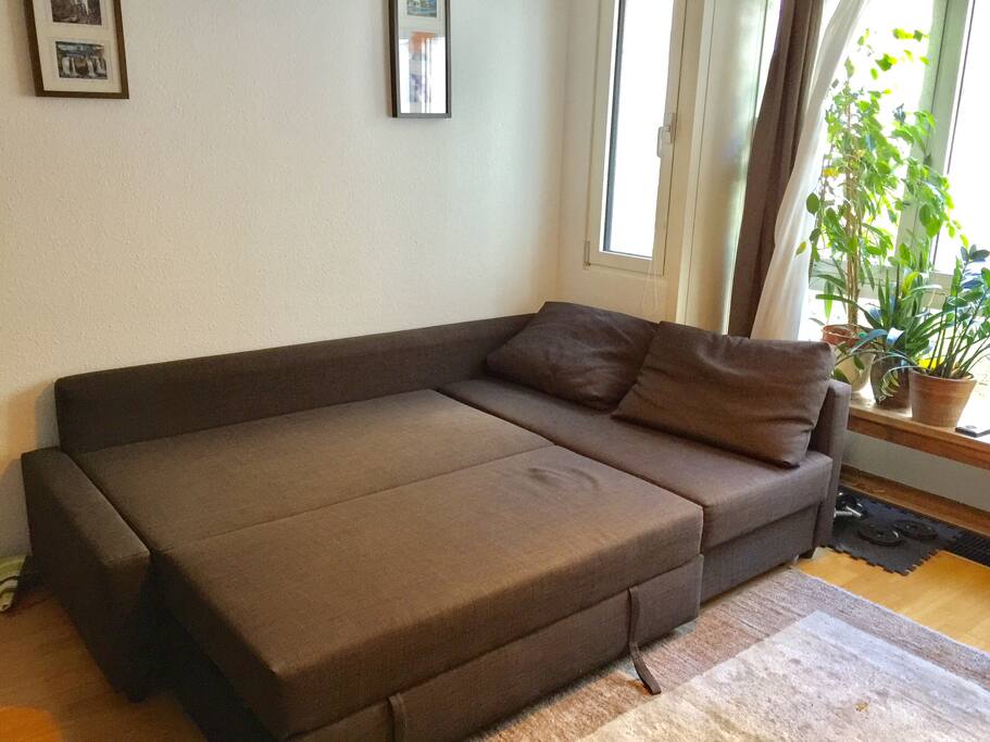 Sofa (extra bed for 2 persons)