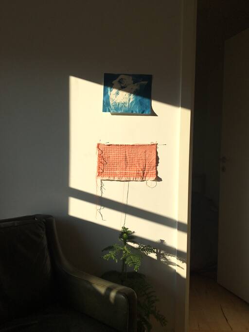 Good light.