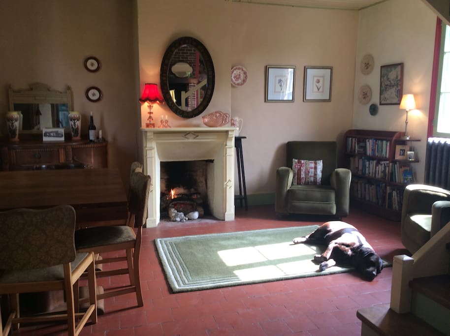 Dining room (dog not included!)
