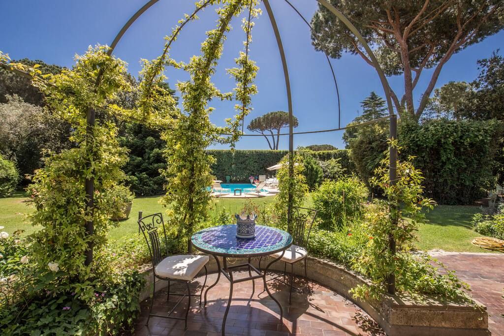 The garden