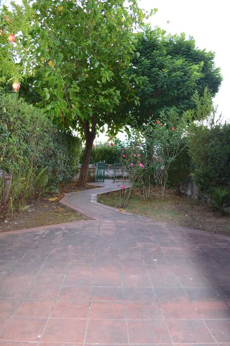 Giardino anteriore