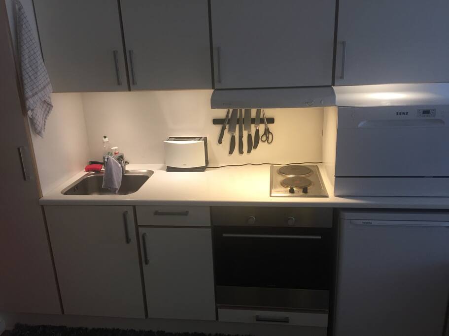 Kitchen with hobs, oven and fridge