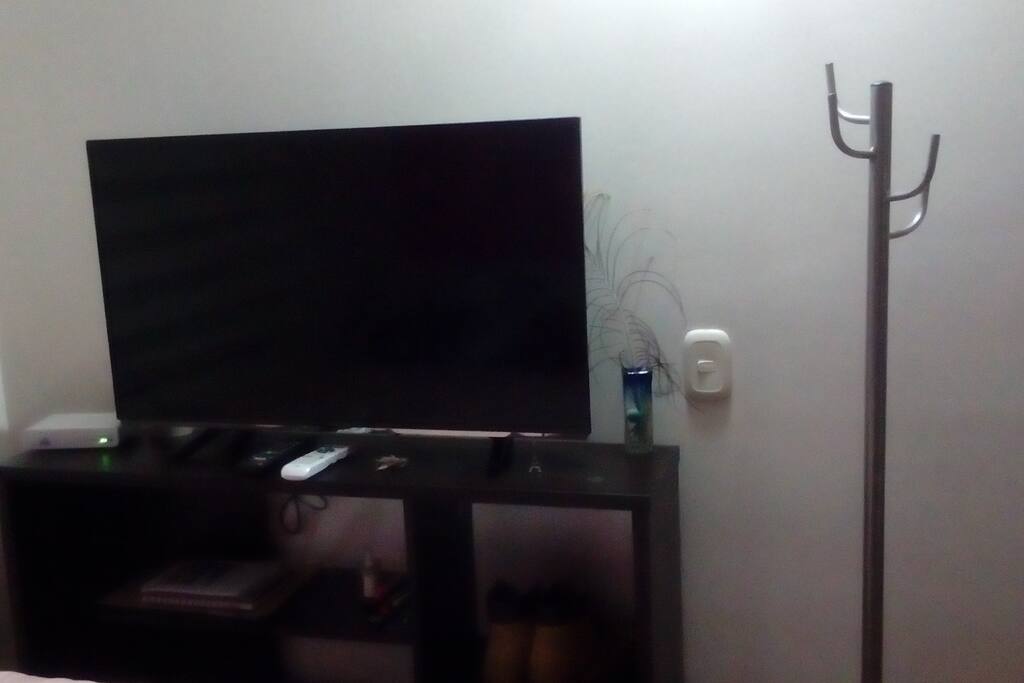 Televisión