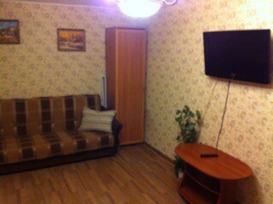 Комната. Диван-кровать, ТВ, шкаф.