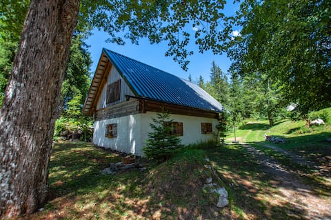 Boutique house Vresje