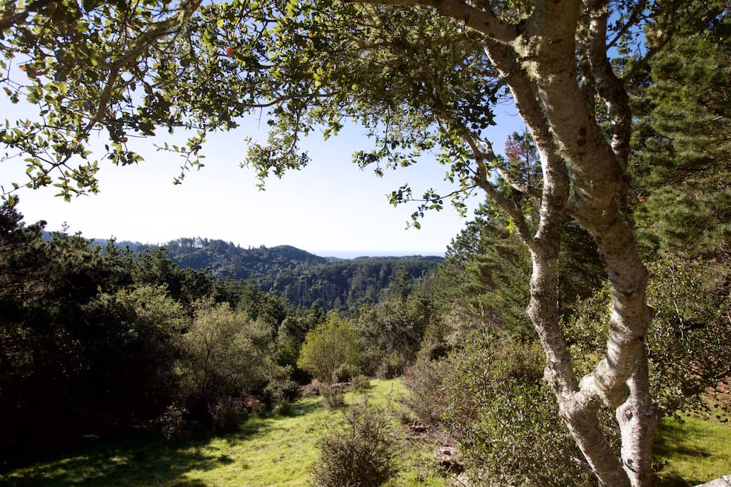 There are few, if any, AirBnB properties here with a better view than ours.