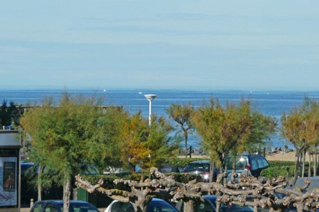Plage à 50 m