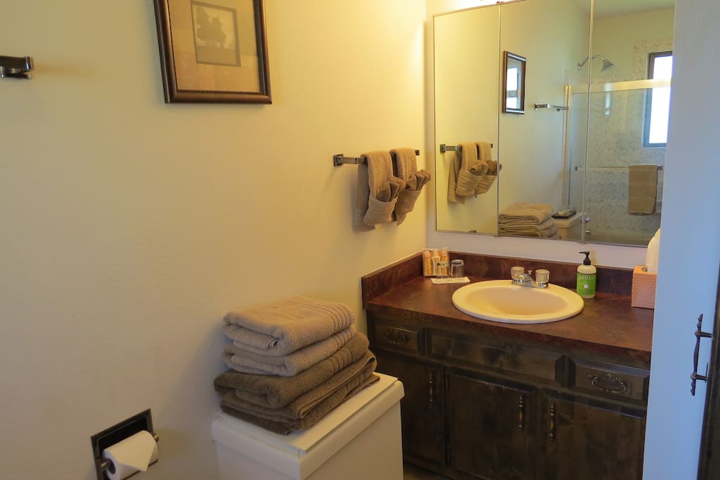 The en suite bathroom sink and mirror.