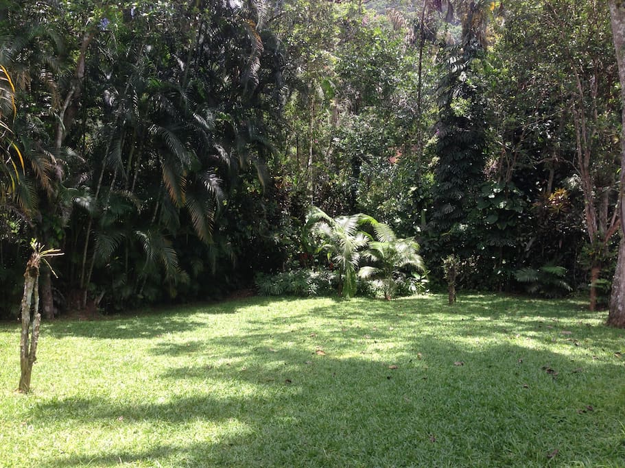 Jardim/gramado lateral