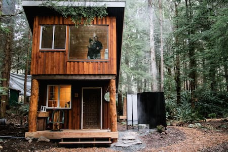Fern Gully: Redwood Cabin