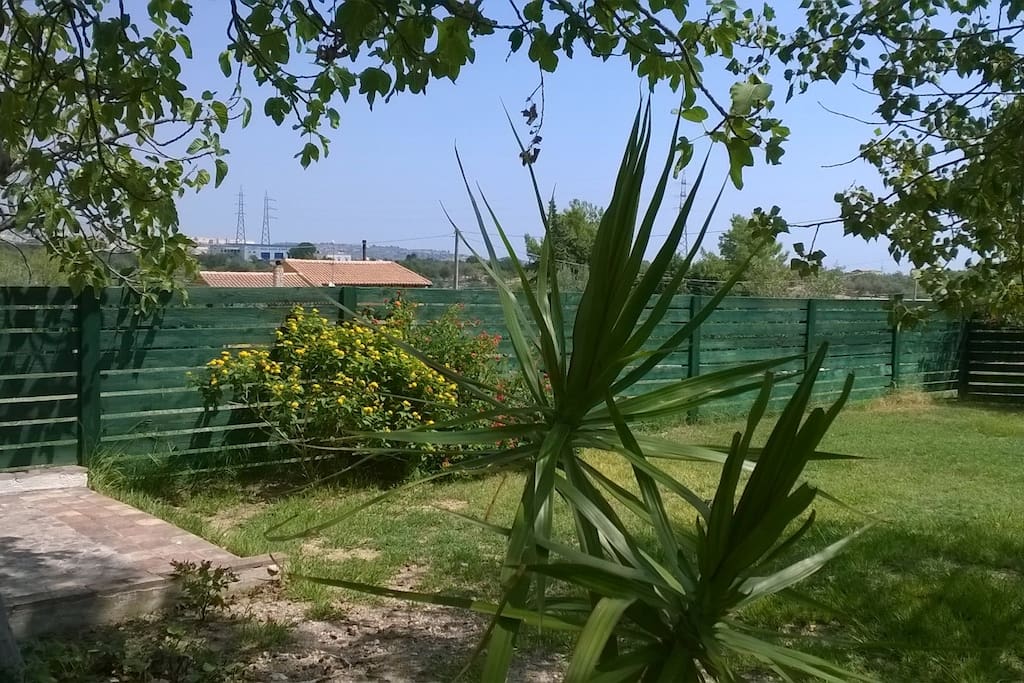 beautiful garden