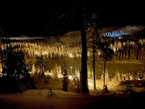 Great family cabin in scenic surroundings.