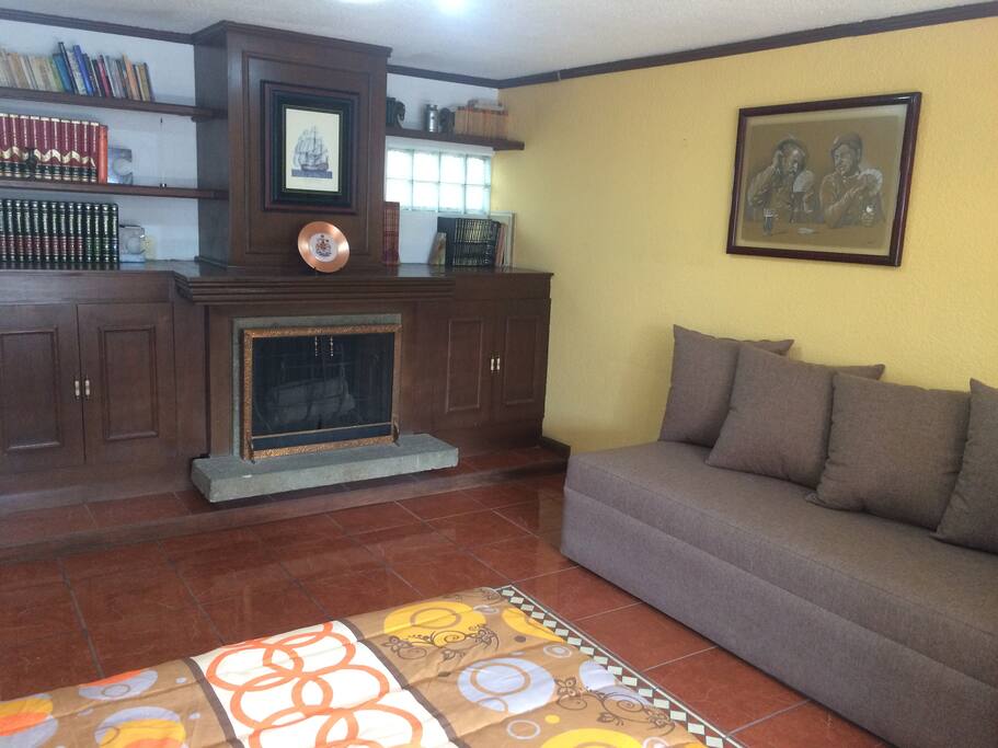 Sofa cama y Chimenea