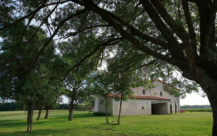 Can Piferrer: paz, tranqulidad y desconexión gallery image 4