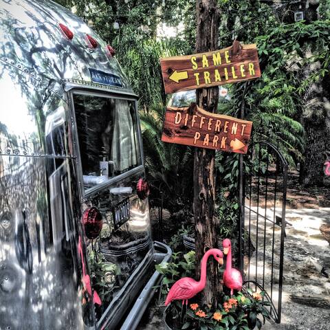 Camp Congress gallery image 2