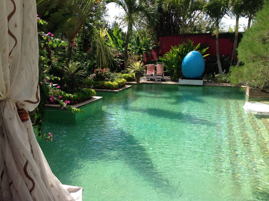 Très grande piscine