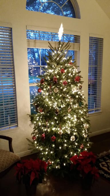 Christmas tree at the entrance