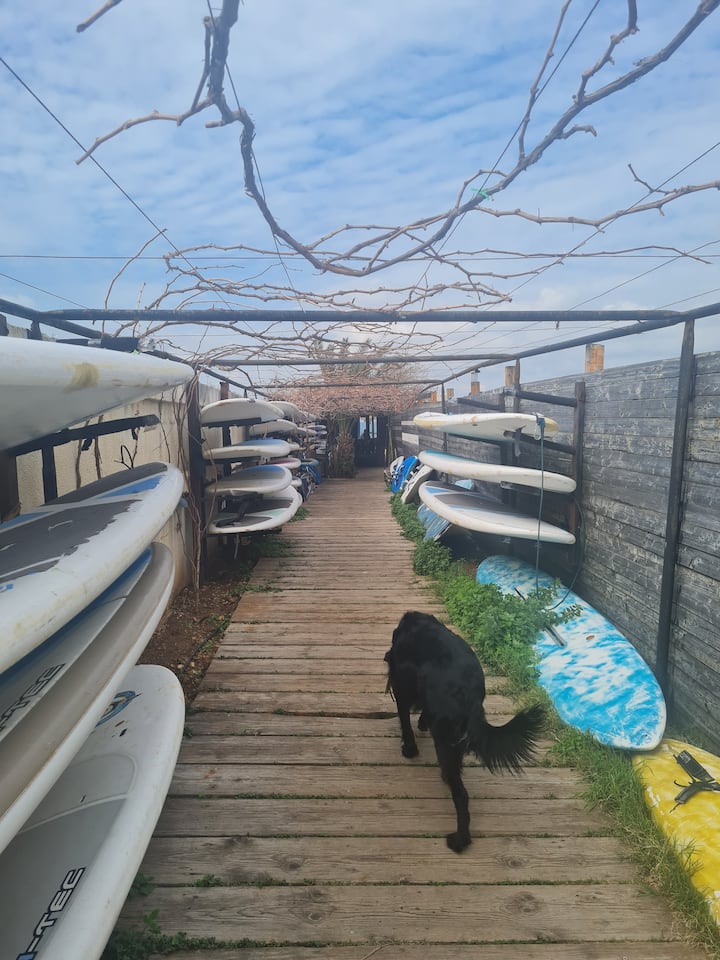 Surf Lessons at Colonel Reef - Image 3