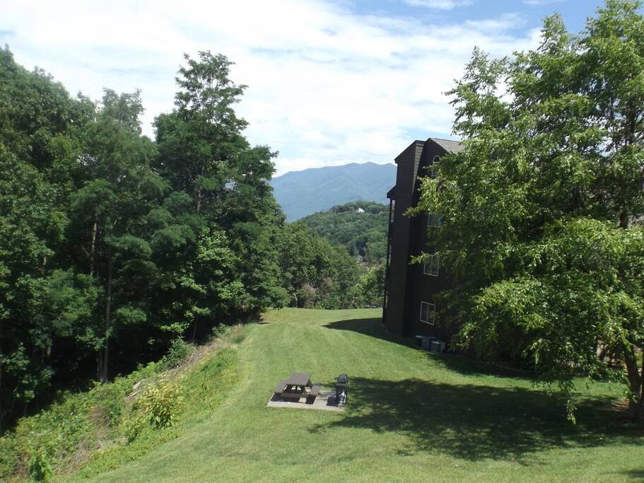Beautiful green areas for grilling, picnics and strolling
