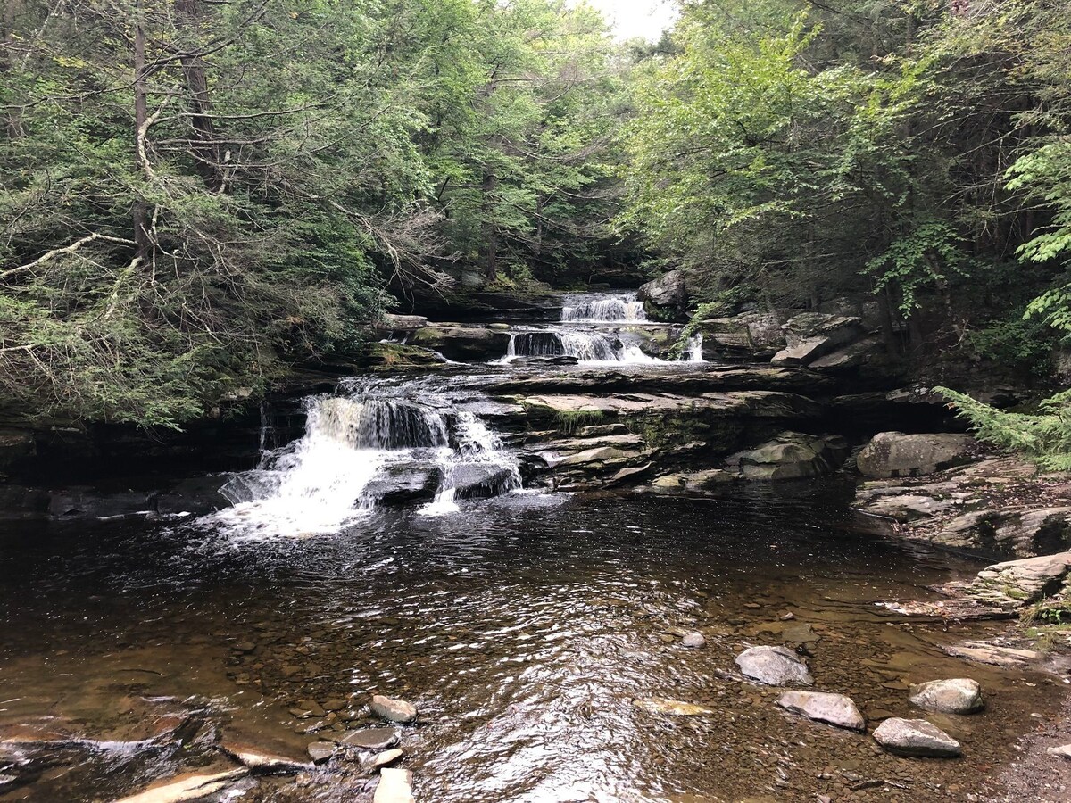 A serene waterfall cascades over smooth, moss-covered rocks into a calm, reflective pool below. Surrounded by lush greenery, the scene conveys a peaceful natural setting, enhanced by dappled sunlight filtering through the trees.
