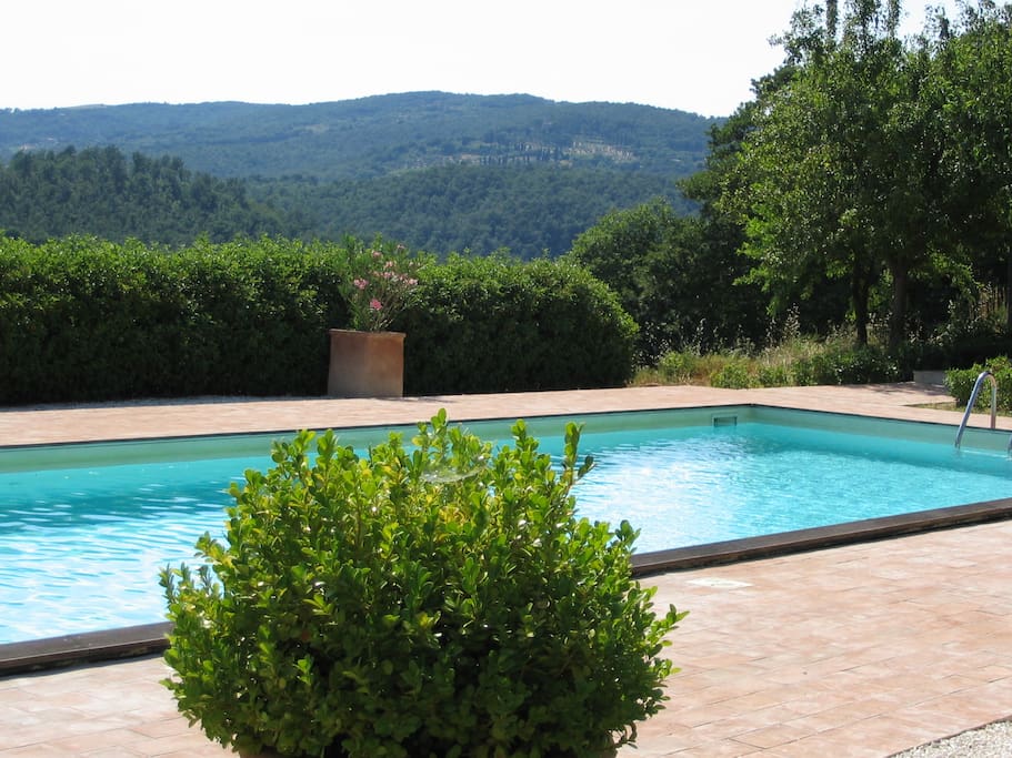 The pool