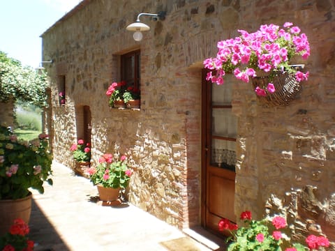 A stone's throw from Siena in the heart of Chianti