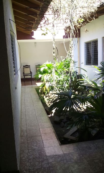 Indoor garden