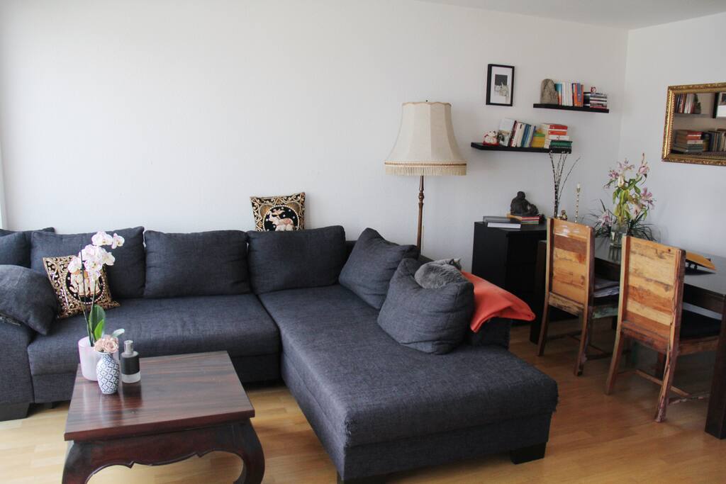 living room + dining room