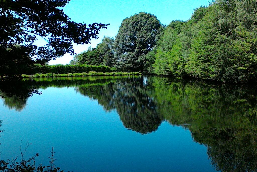 2.5 acre leisure lake