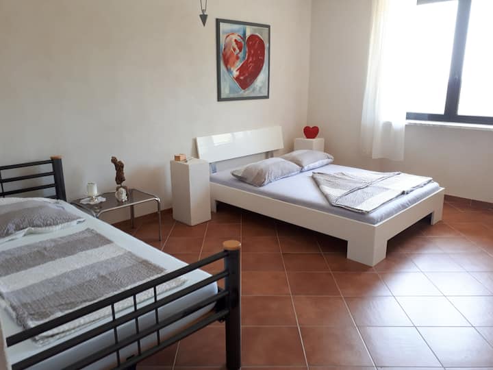 חדר שינה 1
(מיטה אחת 1.60 x 2.00 )
(מיטה אחת 1.00 x 2.00 )