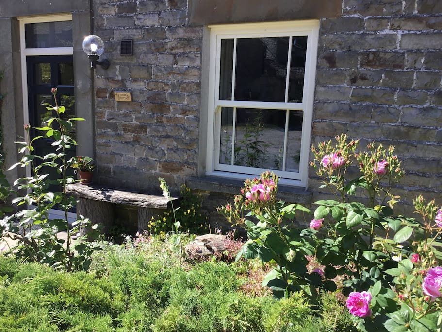 The rustic seat and rockery.