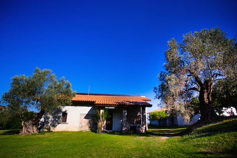 A Pignara Agritourism - L'Ulivo