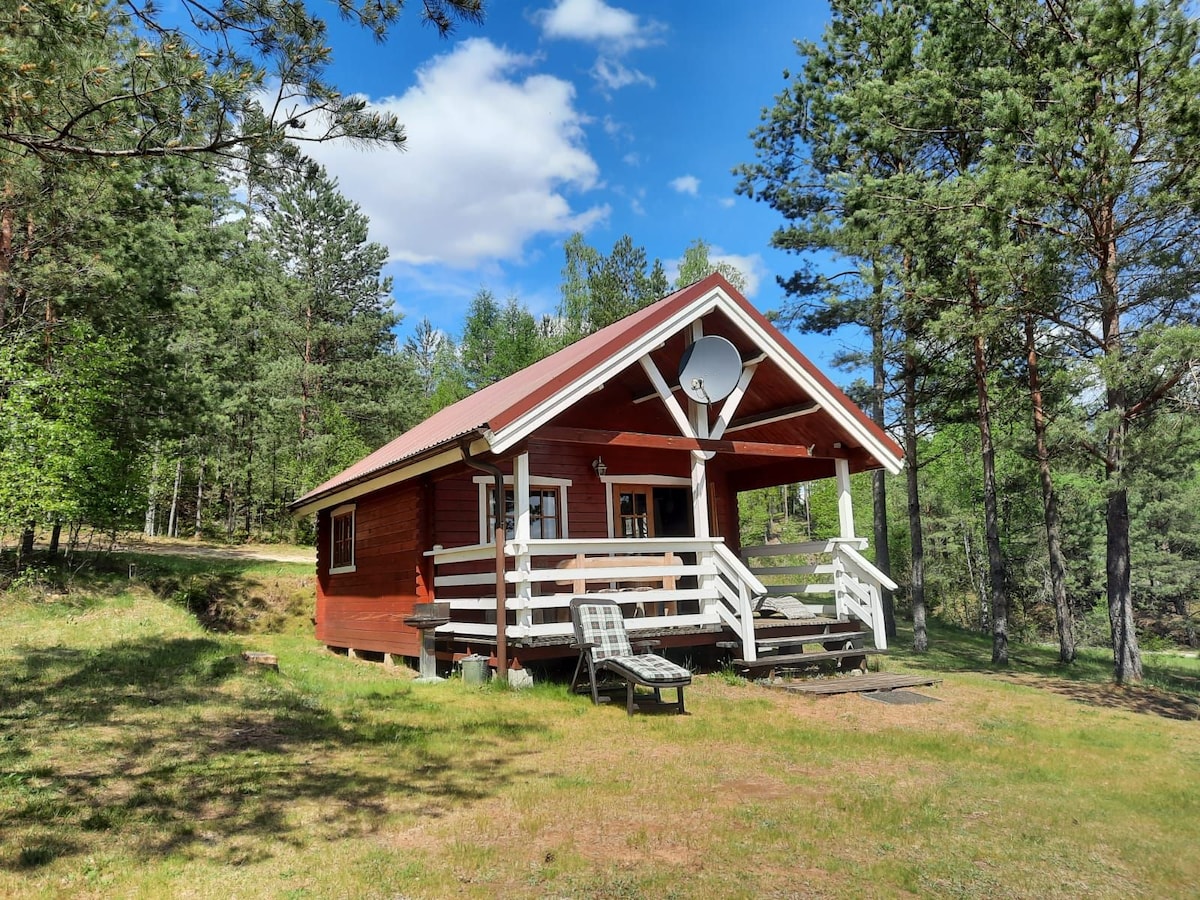 A charming wooden cabin is nestled among tall trees, featuring a welcoming porch with railings and a relaxed seating area. The pitched roof is complemented by a satellite dish, while a grassy area leads towards the natural surroundings, creating a serene outdoor setting.