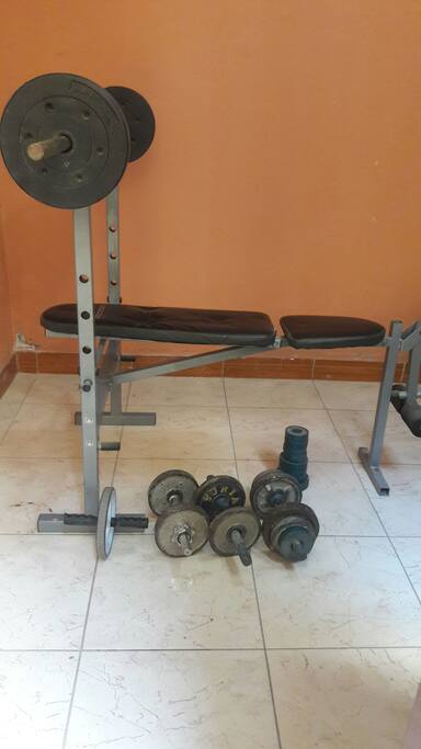 gymnasio