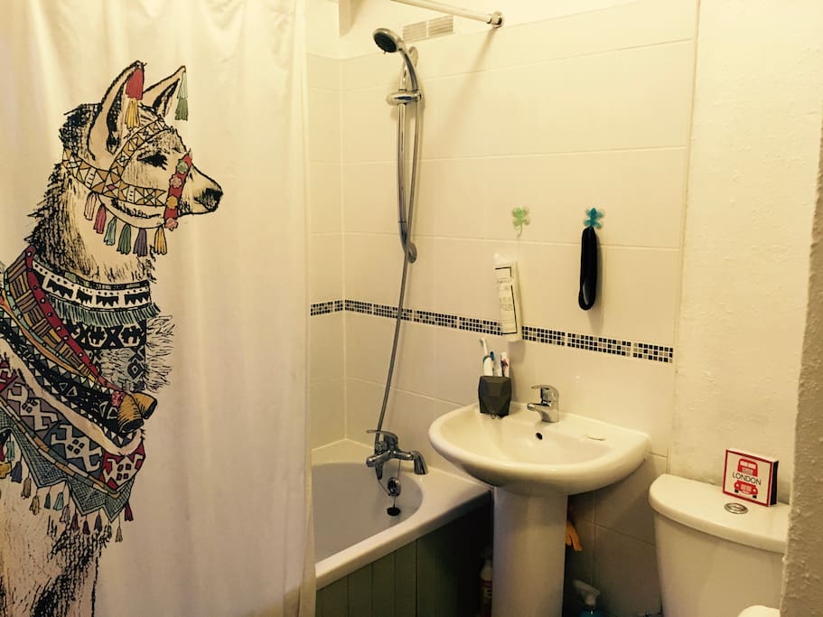 Meet our pet llama in the bathroom!