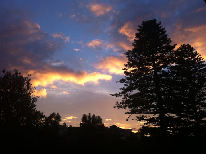 תמונה מספר 1 של חדר גברי קרוב לחוף הים