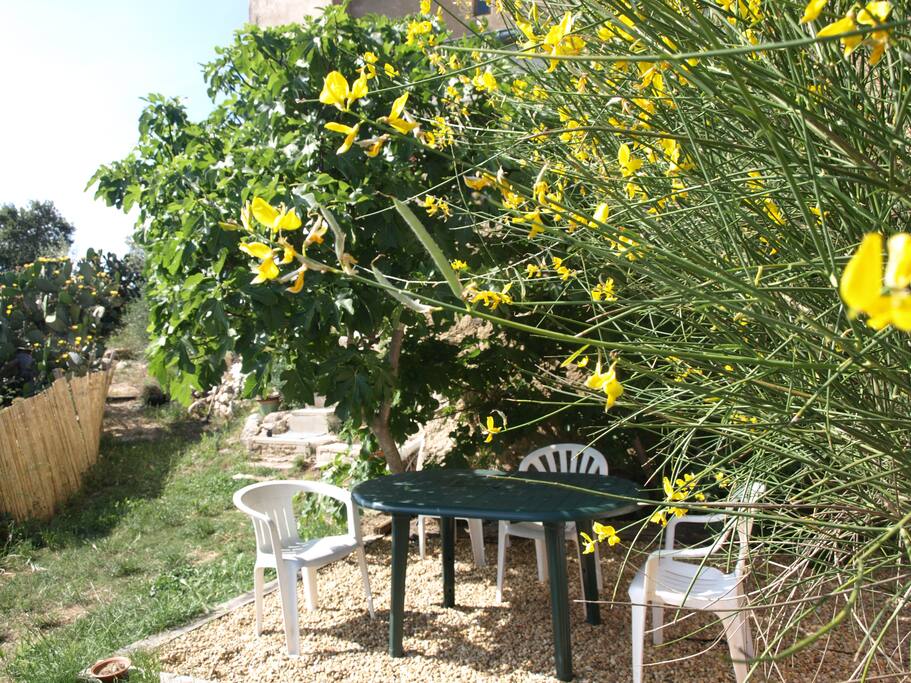 Mes de mayo.otra imagen de la terraza
