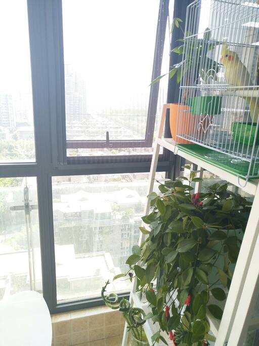 阳台 balcony