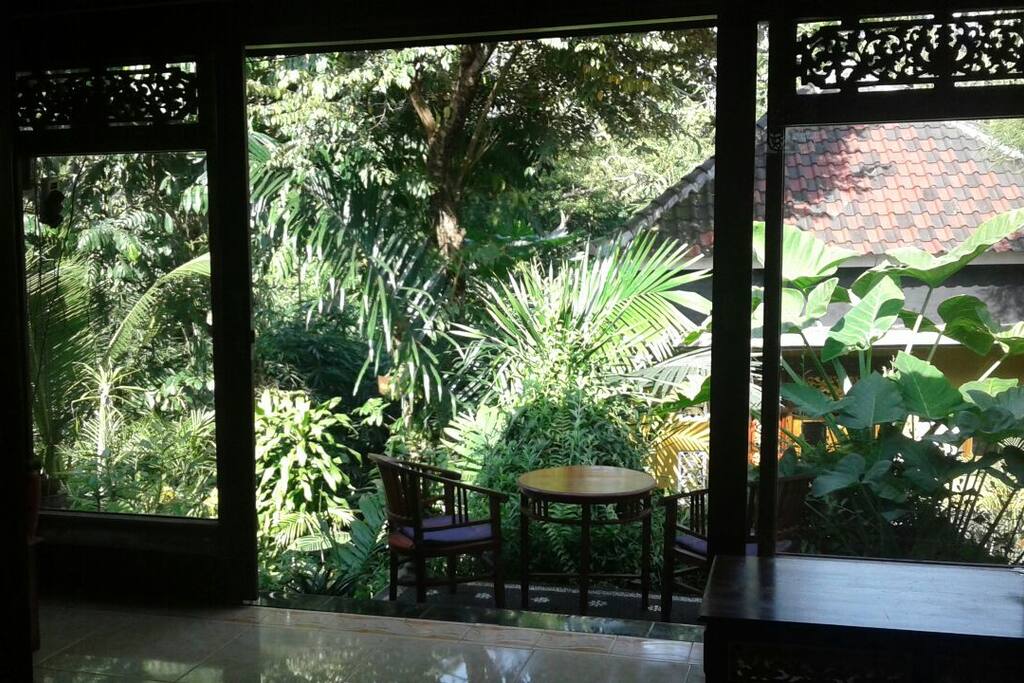 view from balcony. .to the jungle garden.