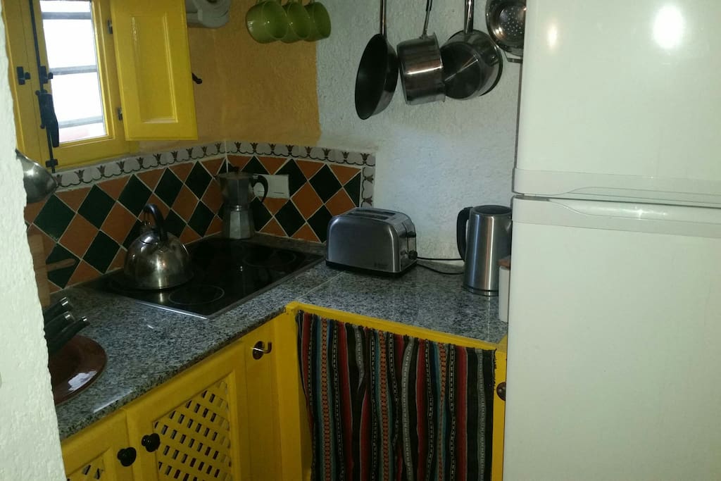 cueava gecko kitchen