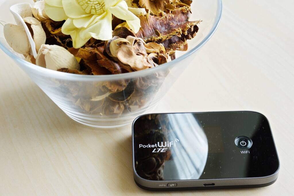 Free pocket wifi
& Wires internet