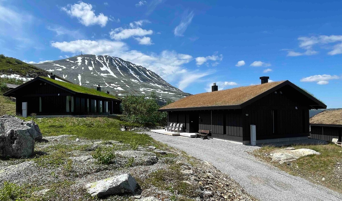 Two modern cabins are situated amidst a natural landscape featuring grass roofs. A gravel pathway leads to the structures, with large windows reflecting the surrounding terrain and distant mountains. The sky is clear with a few scattered clouds, highlighting the scenic setting.
