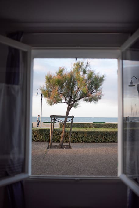vue par la fenêtre de la chambre