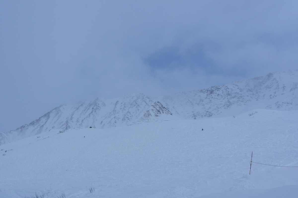 A vast expanse of snow-covered terrain dominates the image, with distant mountains partially obscured by clouds. The scene captures a serene winter atmosphere, showcasing the depth of the snowy landscape and the texture of the snow under overcast skies.