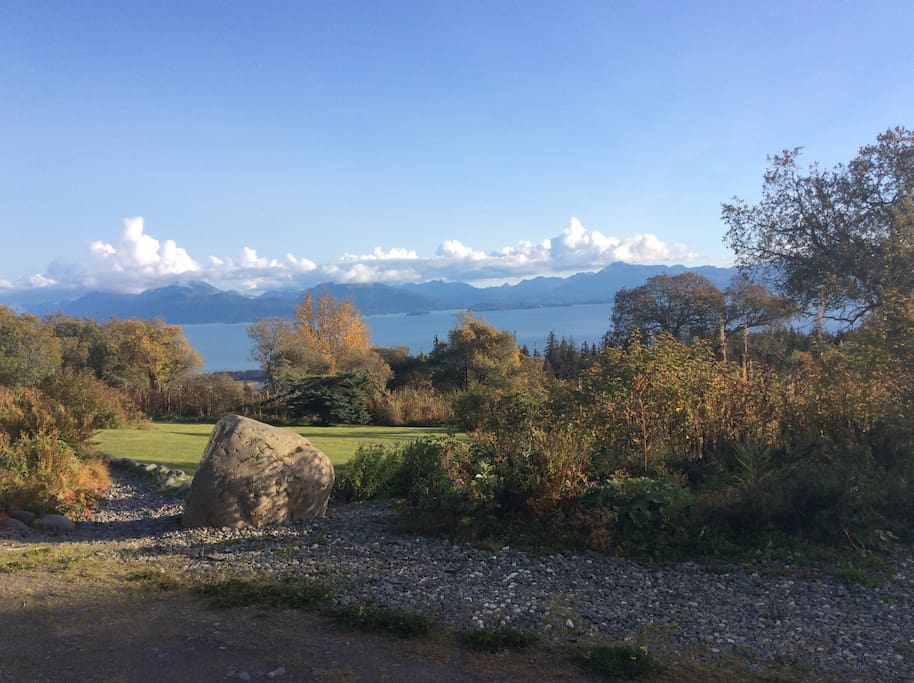 View From the Kitchen Table