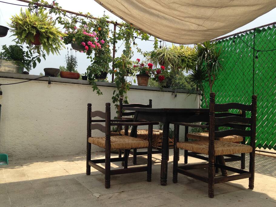 Have a lunch outside.