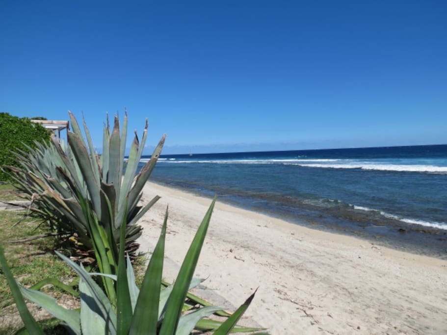 PLAGE ET LAGON