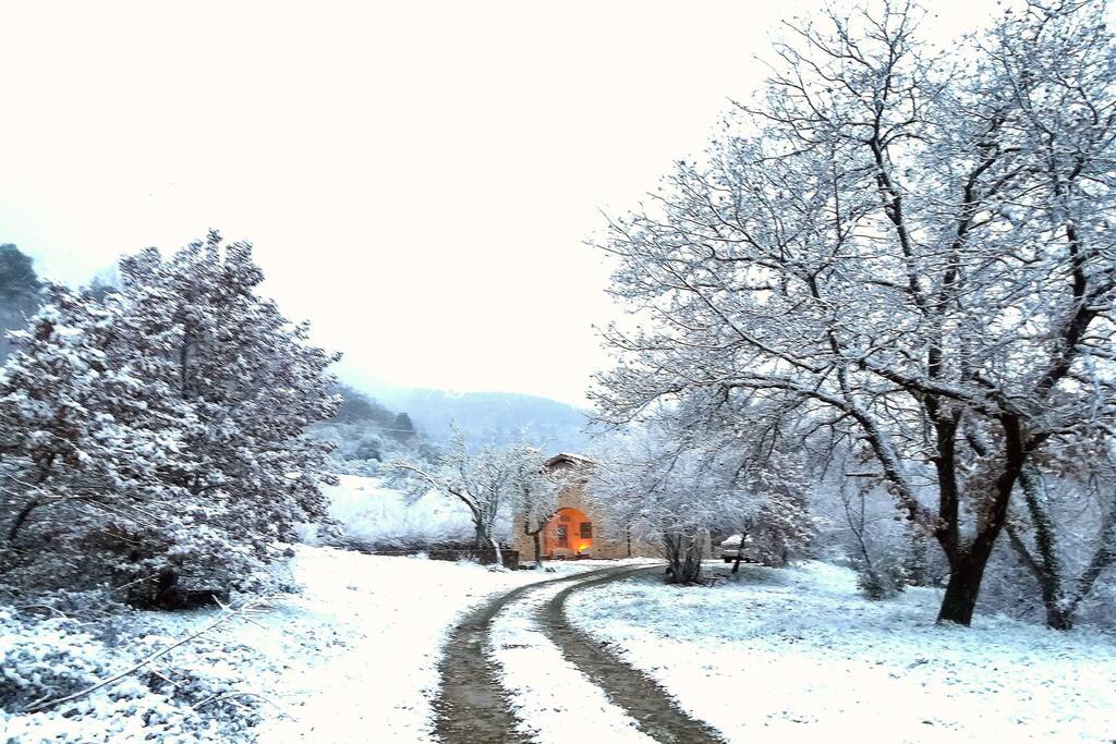 Let it snow