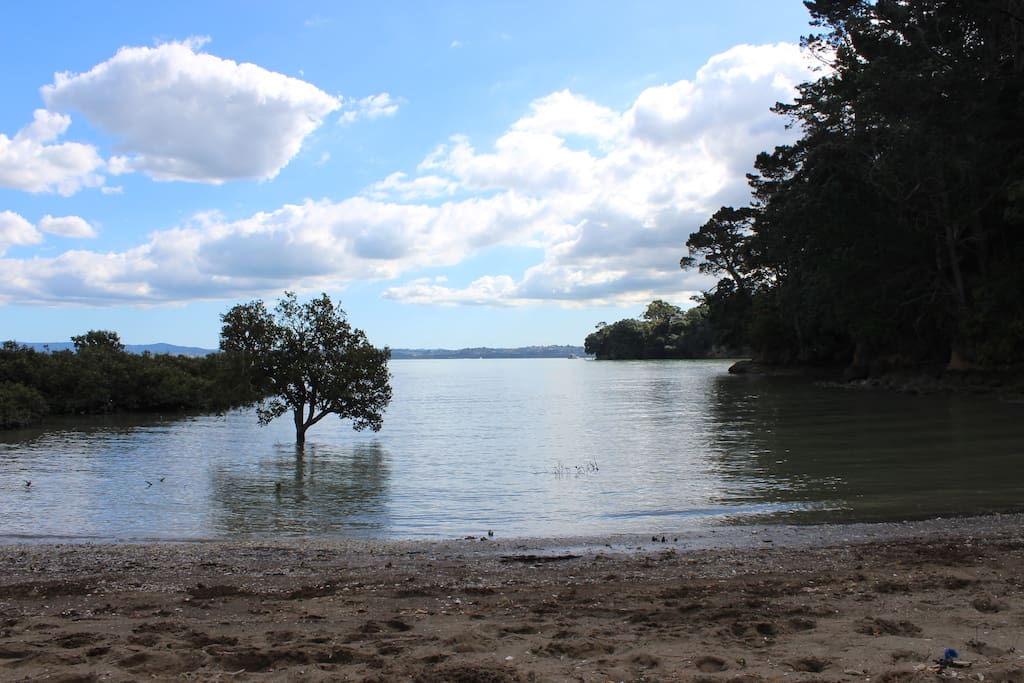 from the cabin a delightful bush walk leads to this secluded beach