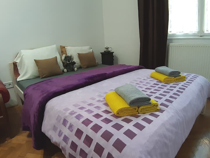 Historická pešia ulica plná šarmu a charakteru s výhľadom na Raday Street. Cítite sa ako doma a blízko všetkého! Vrátane všetkej verejnej dopravy. Môžete ÍSŤ AJ PEŠO, oblasť je veľmi vhodná pre chodcov! Centrálna poloha!